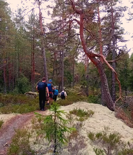 Svartå IF 1