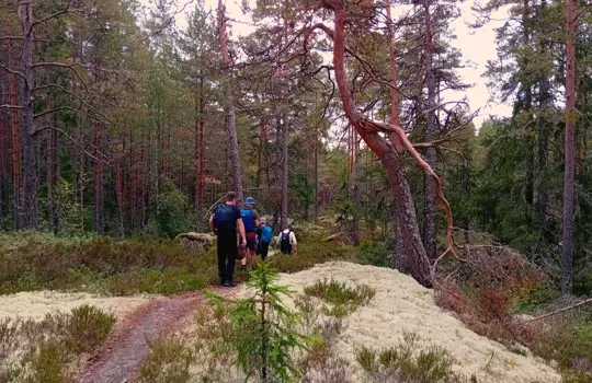 Svartå IF 1