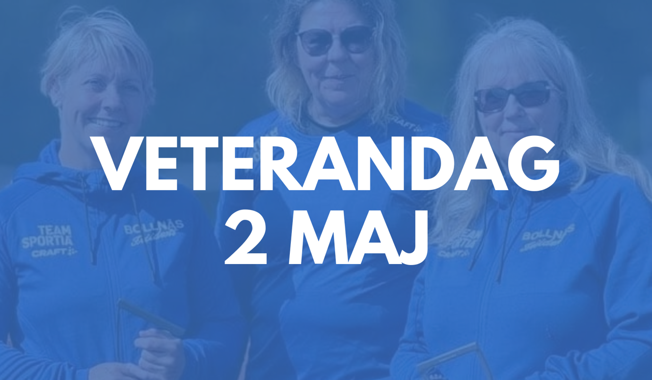 Veterandag