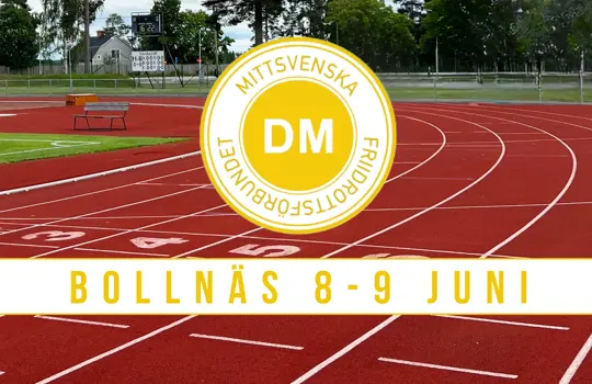 BOLLNÄS 8 9 JUNI (1280 X 580 Mm)