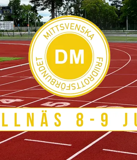 BOLLNÄS 8 9 JUNI (1280 X 580 Mm)