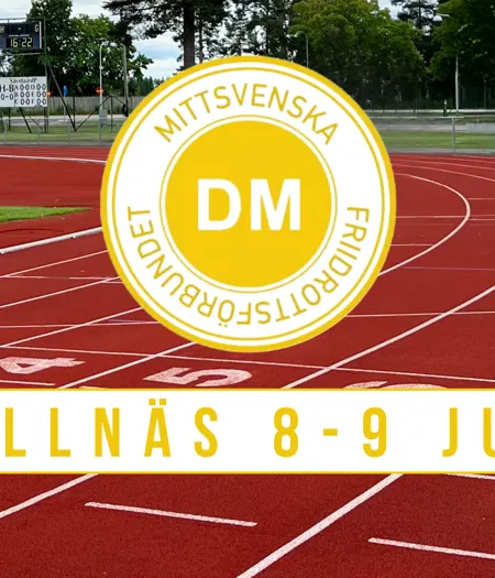 BOLLNÄS 8 9 JUNI (1280 X 580 Mm)