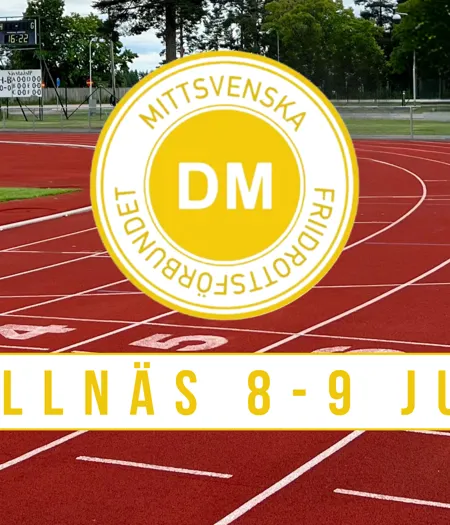 BOLLNÄS 8 9 JUNI (1280 X 580 Mm)