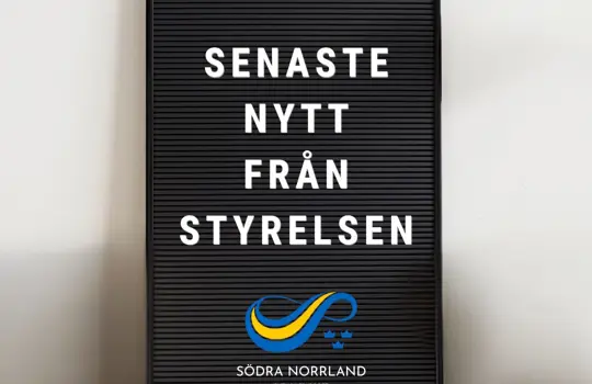Senaste Nytt Fra N Styrelsen